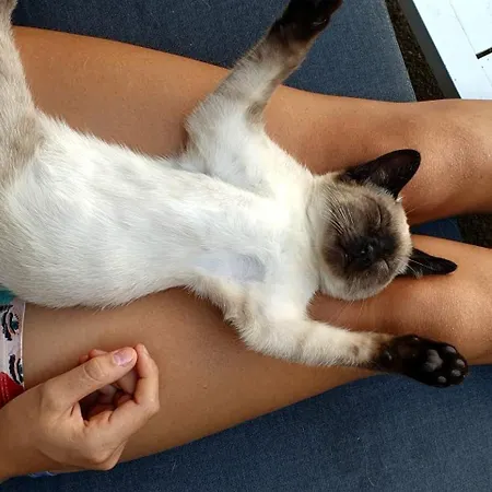 Casa Mato Monforte De Lemos