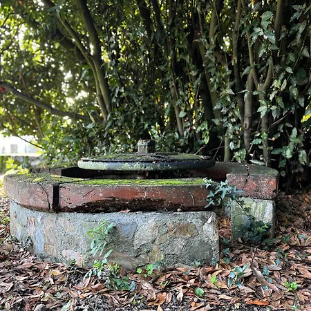 Lantställe Casa Mato Monforte De Lemos