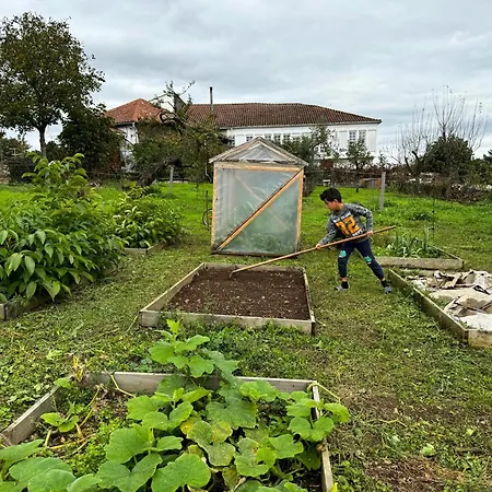 Casa Mato *