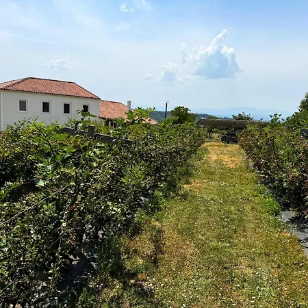 Casa Mato Venkovský dům Monforte De Lemos