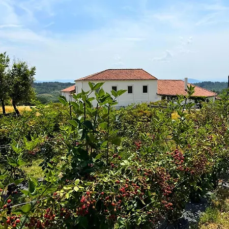 Casa Mato Monforte De Lemos