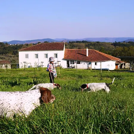 Casa Mato Monforte De Lemos