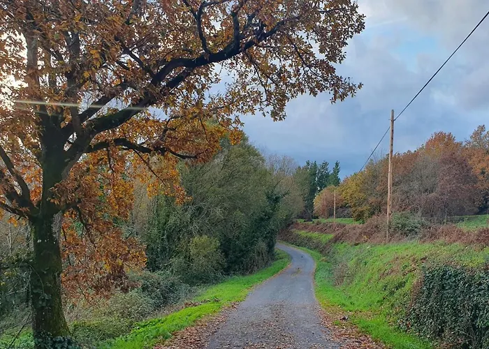 Casa Mato Monforte De Lemos