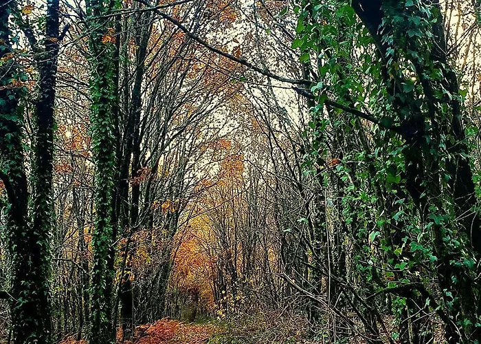 Casa Mato Monforte De Lemos