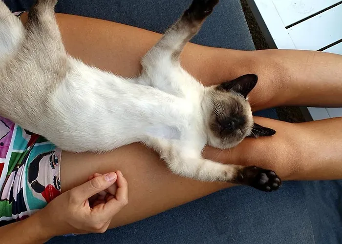 Casa Mato Monforte De Lemos