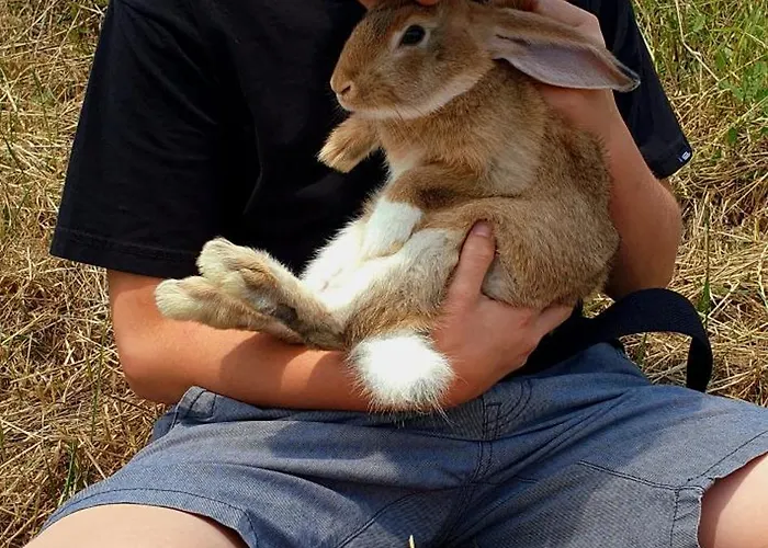 Casa Mato Monforte De Lemos