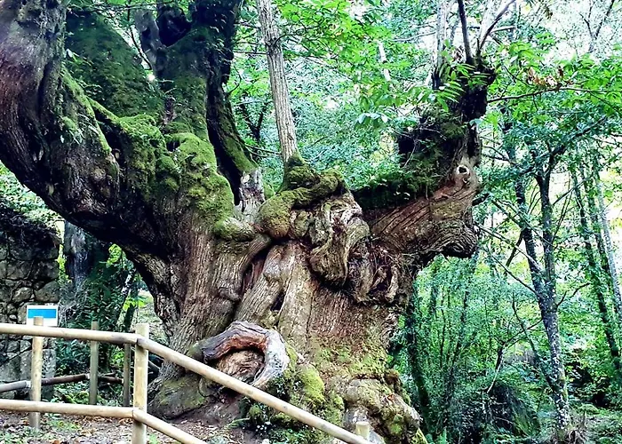 Casa Mato Εξοχικό σπίτι Monforte De Lemos