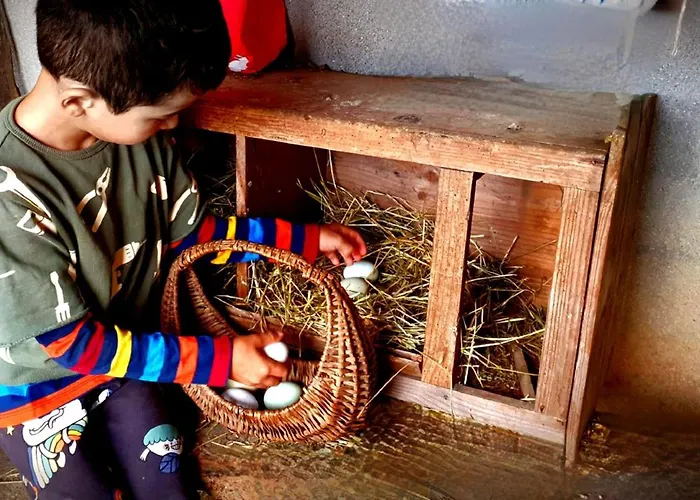 Casa Mato Εξοχικό σπίτι Monforte De Lemos