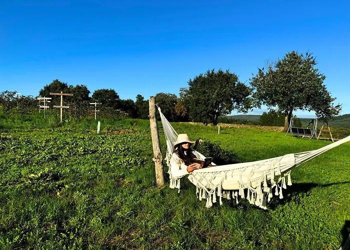 Casa Mato * Monforte De Lemos