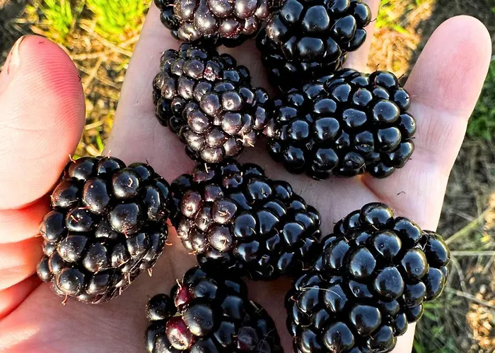 Εξοχικό σπίτι Casa Mato *