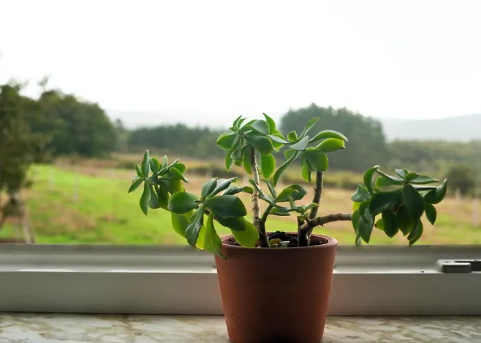 Εξοχικό σπίτι Casa Mato Monforte De Lemos
