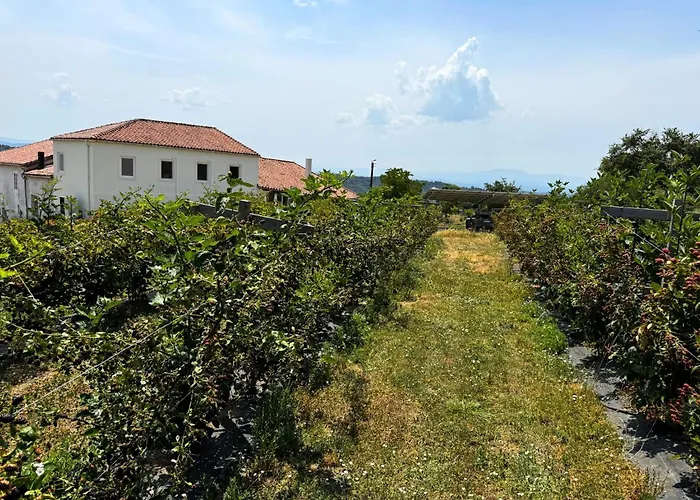 Casa Mato Εξοχικό σπίτι Monforte De Lemos