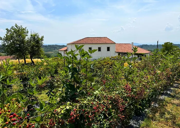 Casa Mato Monforte De Lemos