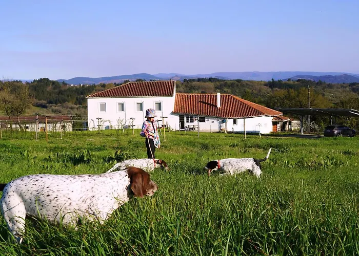 Casa Mato Monforte De Lemos