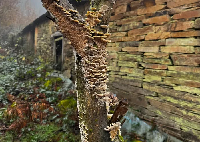 Casa Mato Εξοχικό σπίτι