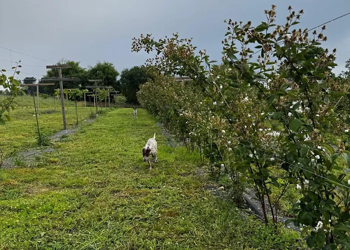 Εξοχικό σπίτι Casa Mato *
