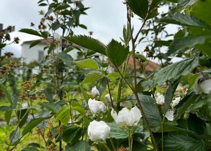 Εξοχικό σπίτι Casa Mato *